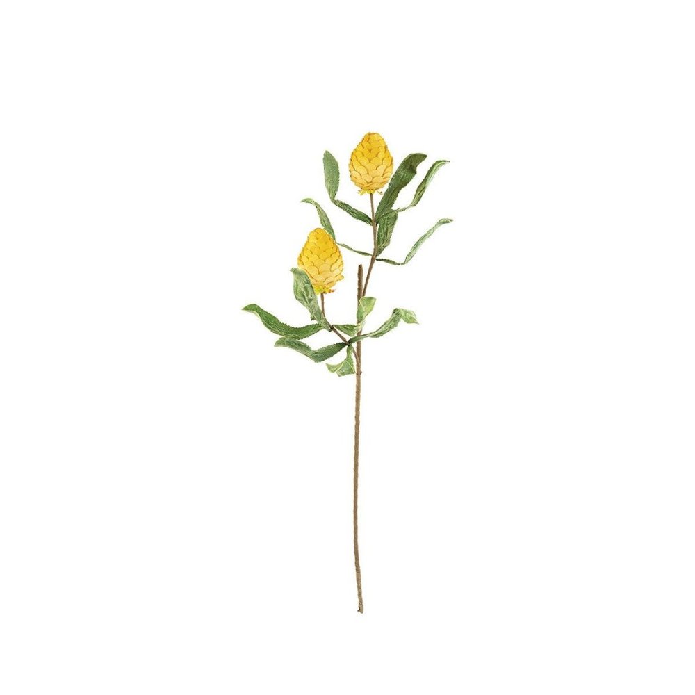 Yellow Botanica - 3218